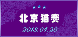 2013年4月20北京猫赛